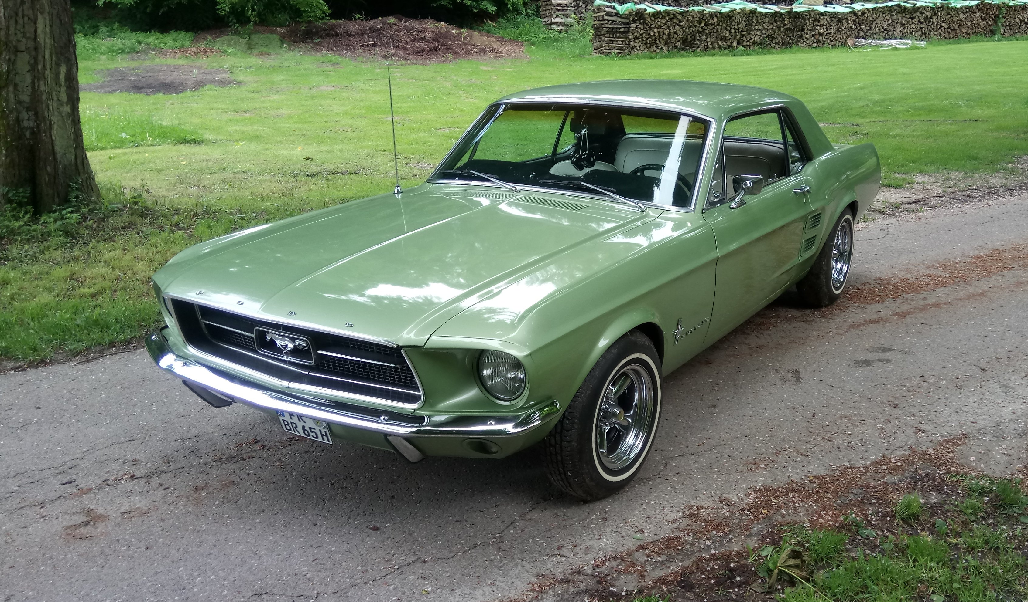 Ford Mustang V8 Coupé